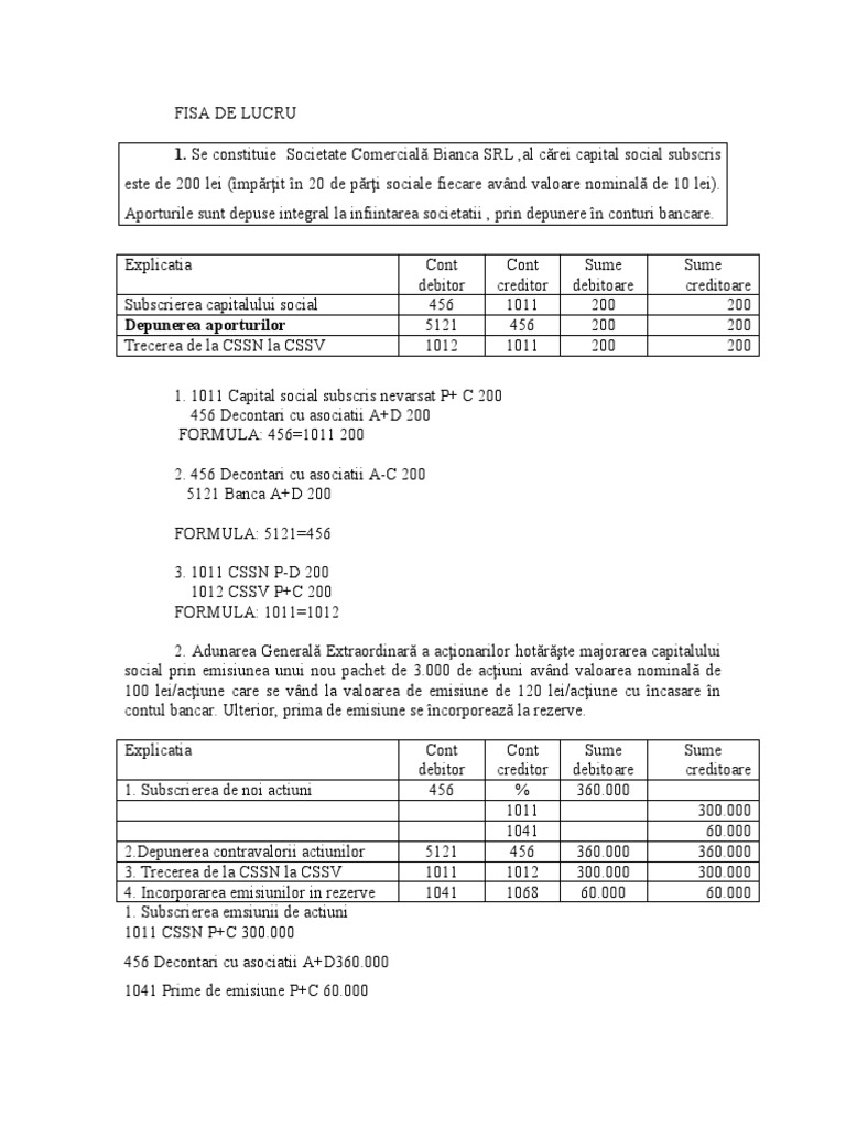 Fisa Lucru Capitaluri | PDF