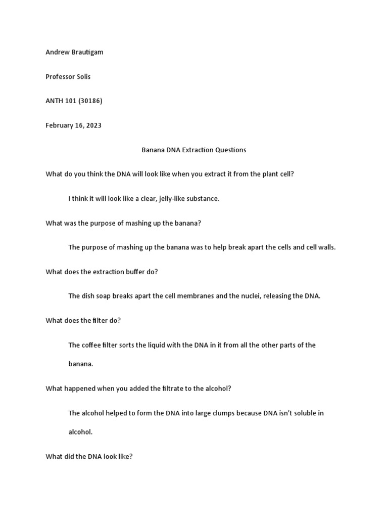 DNA Extraction Lab PDF