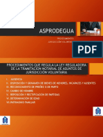 Procedimientos de La JV - Derecho Notarial - Asprodegua PDF