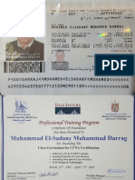 Mohamed Elsadany passport ID