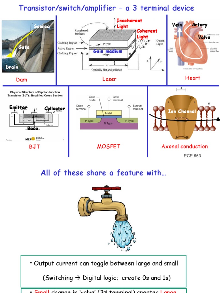 Understanding the Fundamentals of Transistor Operation and Gain PDF