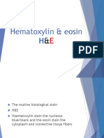 Hematoxylin & Eosin