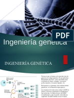 Ingieneria Gene