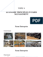 Topic 4 - Economic Principles in Farm Management