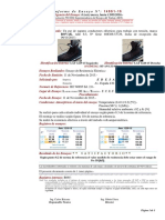 ENS14951 - Zapato Conductor - Edesal PDF