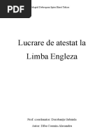 Atestat Limba Engleza