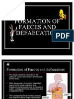 Formation of Faeces and Defaecation