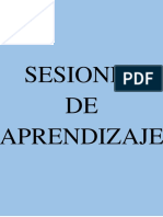 Sesiones de Aorjnec PDF