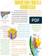Transporte A Traves de La Membrana Celular PDF