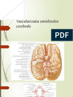 Vascularizatia Emisferelor Cerebrale