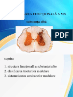 Organizarea Funcțională A MS 2