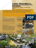 ClimateChangeLapland RUSSIAN 06 Bryophytes Lowres v02 PDF