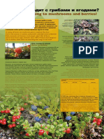 ClimateChangeLapland RUSSIAN 05 Mushrooms and Berries Lowres v03 PDF