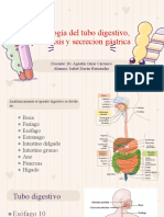 Fisiologia Gastrointestinalultima Modificacion