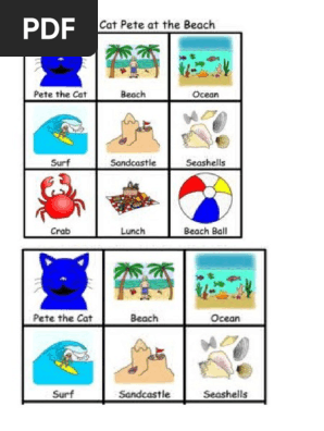 bingo and vocabulary