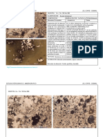 Estudio Petrográfico-Mineragráfico El Cofre