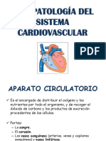 4 Sistema Cardiovascular