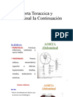 1a.aorta Toraccica y Abdominal I Continuacion