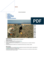 Punto Numero 3 de Mecanica de Suelos - Compress