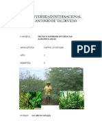 Dossier Pastos y Forrajes 2020 PDF