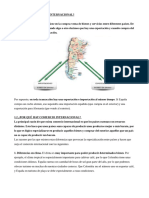 Aspectos Introductorios Comercio Internacional PDF