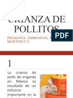 CRIANZA DE POLLITOS Explicada para Preescolar