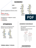 Flashcards Bioquimica