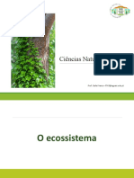 Estrutura e funcionamento dos ecossistemas.pptx