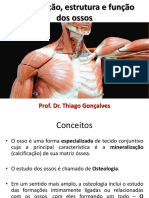 Sistema Esqueletico p2 PDF