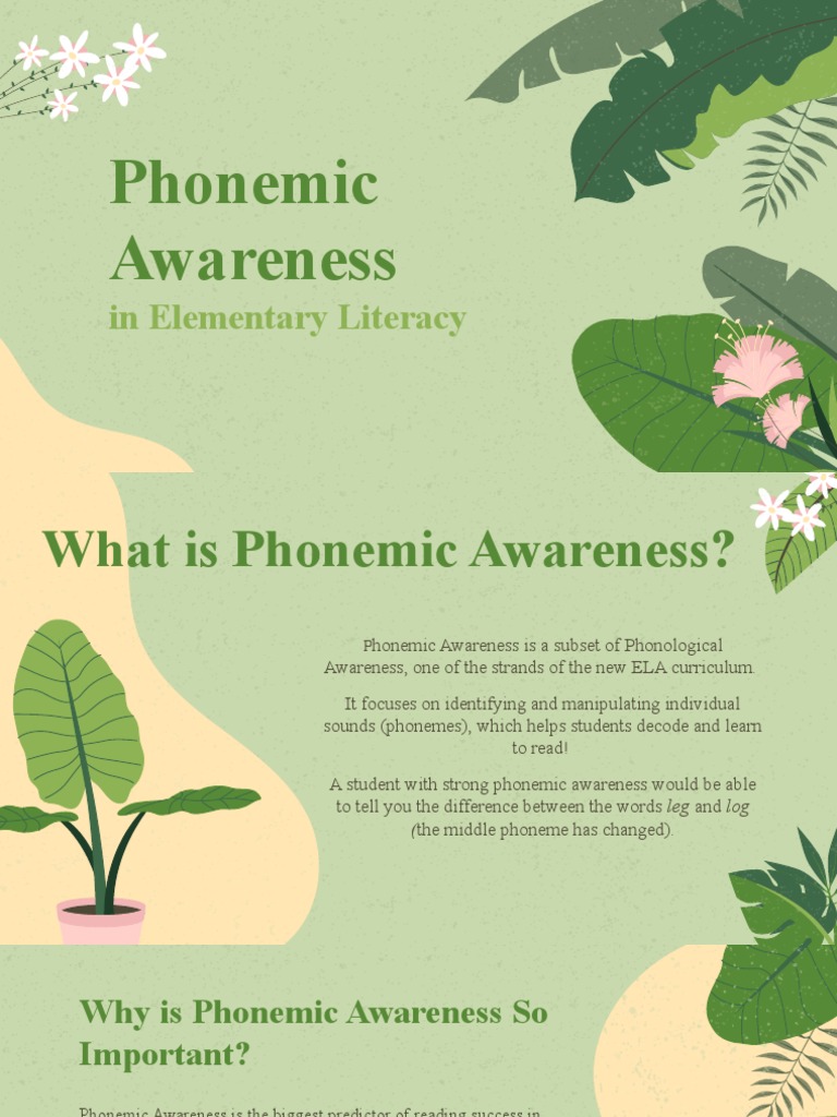 Phonemic Awareness in Elementary Literacy | PDF | Syllable | Phoneme