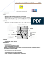 Protocolo Práctico Nº3 Polarimetría 3º Bach Div Ref 2006 CB Ibo 2022