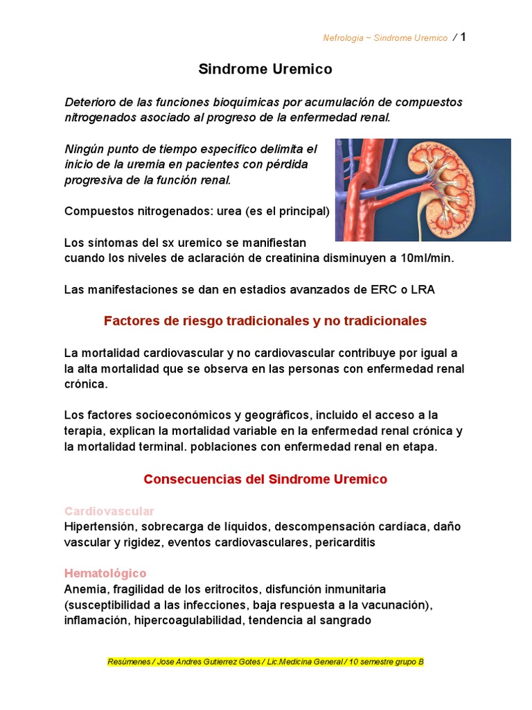 Síndrome Urémico: Fisiopatología y Tratamiento | PDF | Enfermedad renal