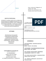 CURRICULUM- LUIS FELIPE SÁNCHEZ BACA.doc