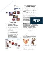 EMBRIOLOGIA REZUMO Nuevo PDF