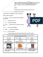 DNA vs RNA & Protein Synthesis