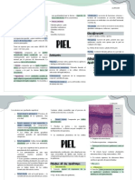 Up4 Piel PDF