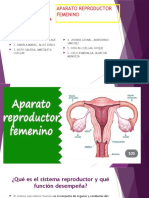 Grupo 1 Aparato Reproductor Femenino