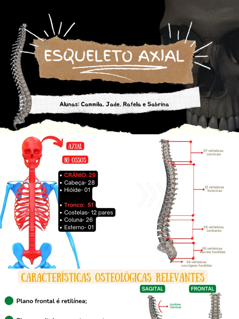 Estrutura e Funções do Esqueleto Axial | PDF | Coluna vertebral ...