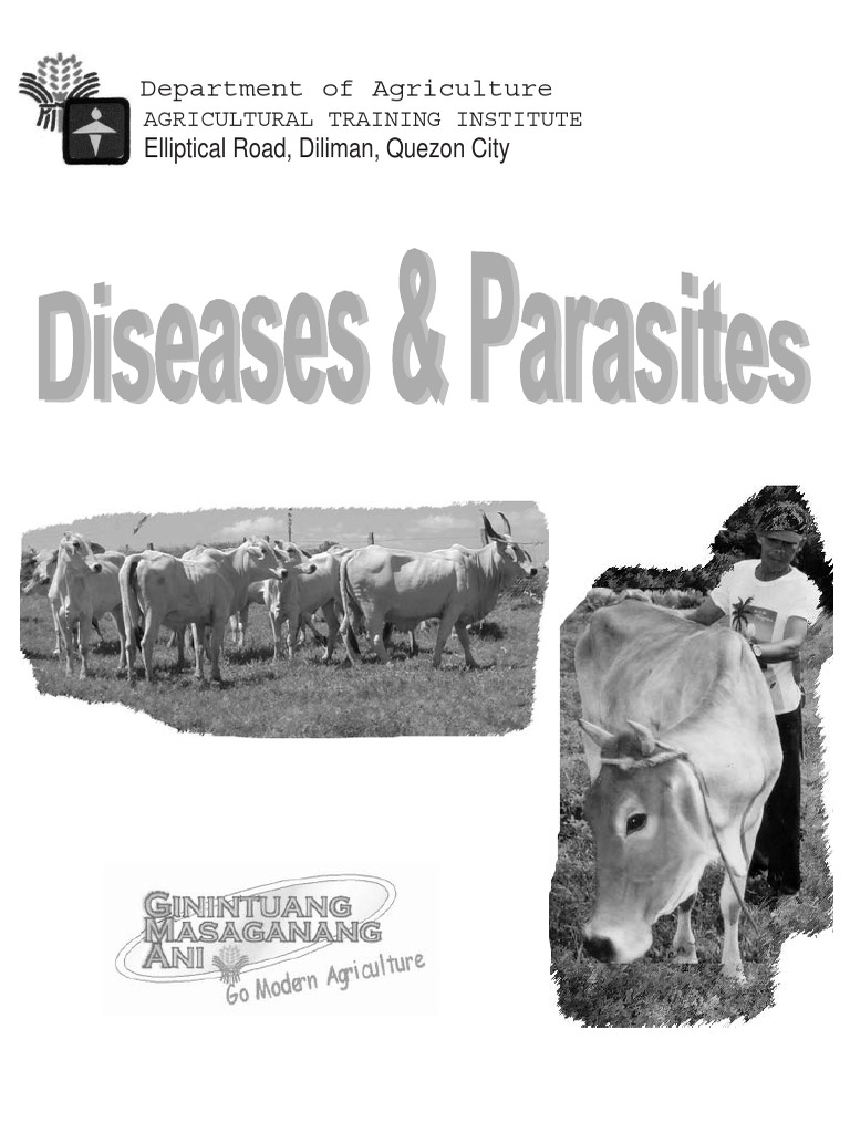 Cattle Diseases and Parasites PDF Infection Physical Examination