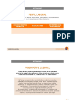 9 Actividad - Perfil Laboral