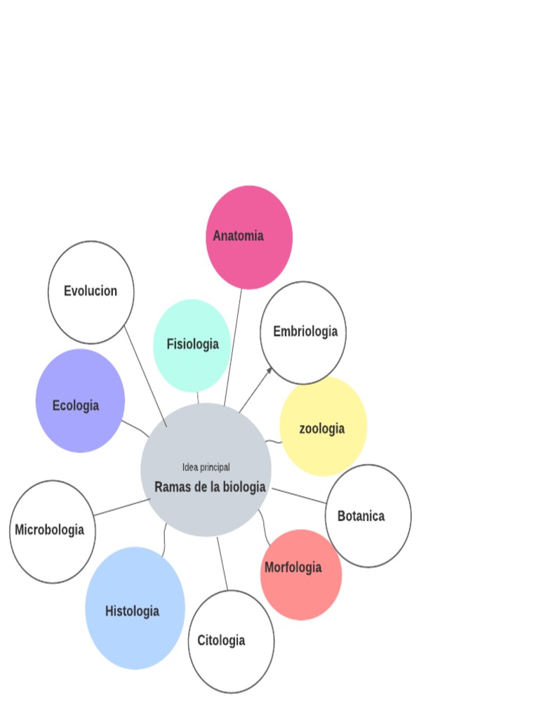 Mapa Mental PDF | PDF