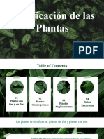 Clasificacion de Las Plantas, Reino Eucariota (Krisly)