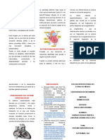 Sistema de Conducción Eléctrico Del Corazón PDF