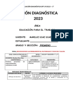 Vi Ciclo - 2 Grado Conf. Textil Evaluacion Diagnostica