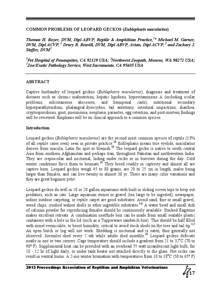 Common problems of leopard geckos eublepharis macularius pdf