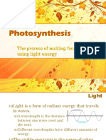 Photosynthesis Notes 20