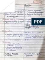 Cell and Its Function