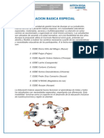 Educacion Basica Especial PDF