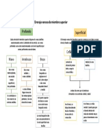 Drenaje Venoso de Miembro Superior PDF
