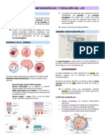 4.3. Barrera Hematoencefálica y Fisiología Del LCR PDF